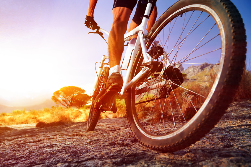 Wie viel Kalorien werden beim Fahrrad fahren verbrannt?